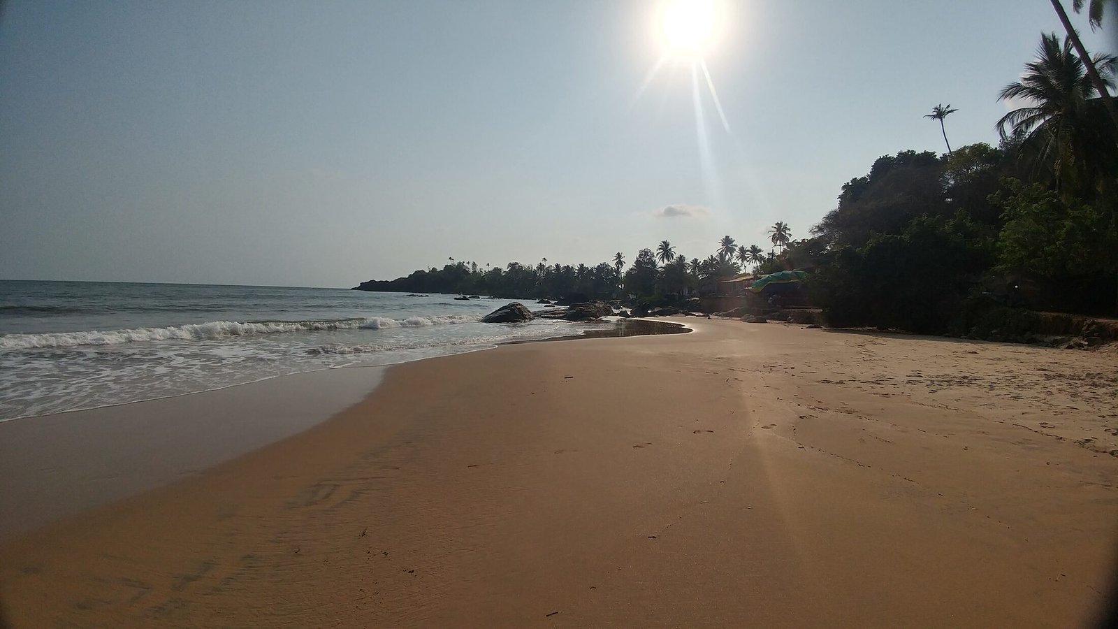 A sunlit golden beach fringed by palms along the Arabian Sea in South Goa