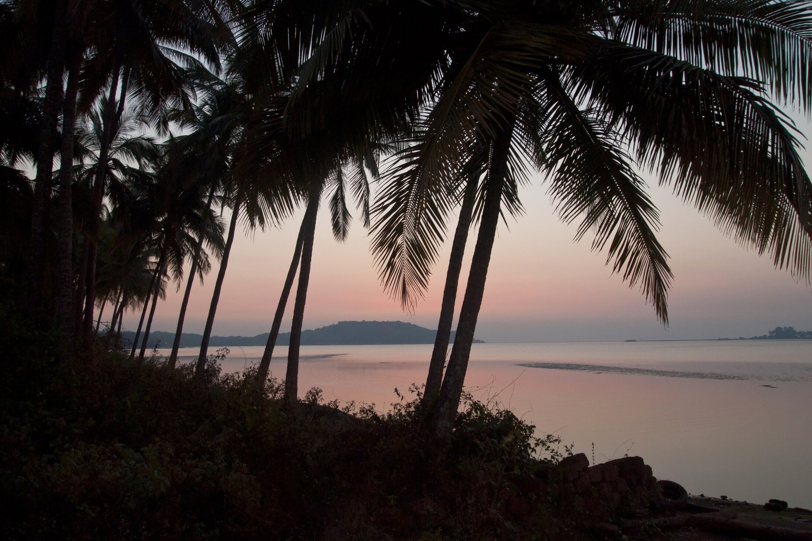 A romantic Goa sunset over calm water framed by palm silhouettes, the setting for a beachfront ceremony