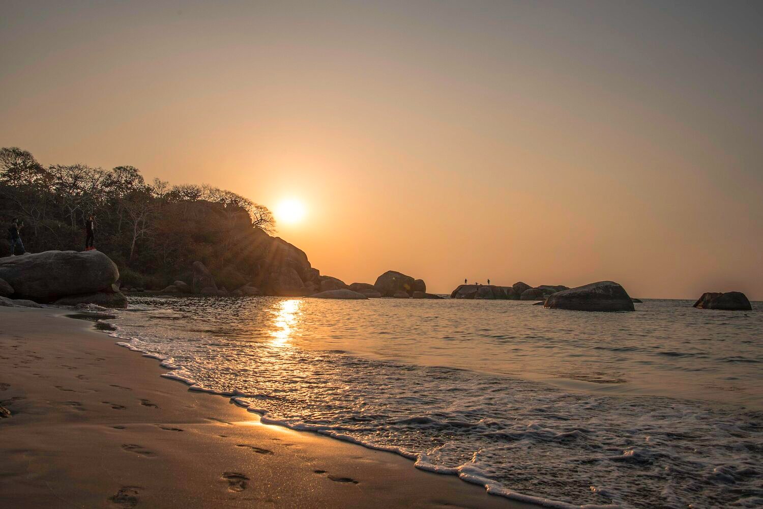 A palm-lined Goa beach glowing at sunset over the Arabian Sea