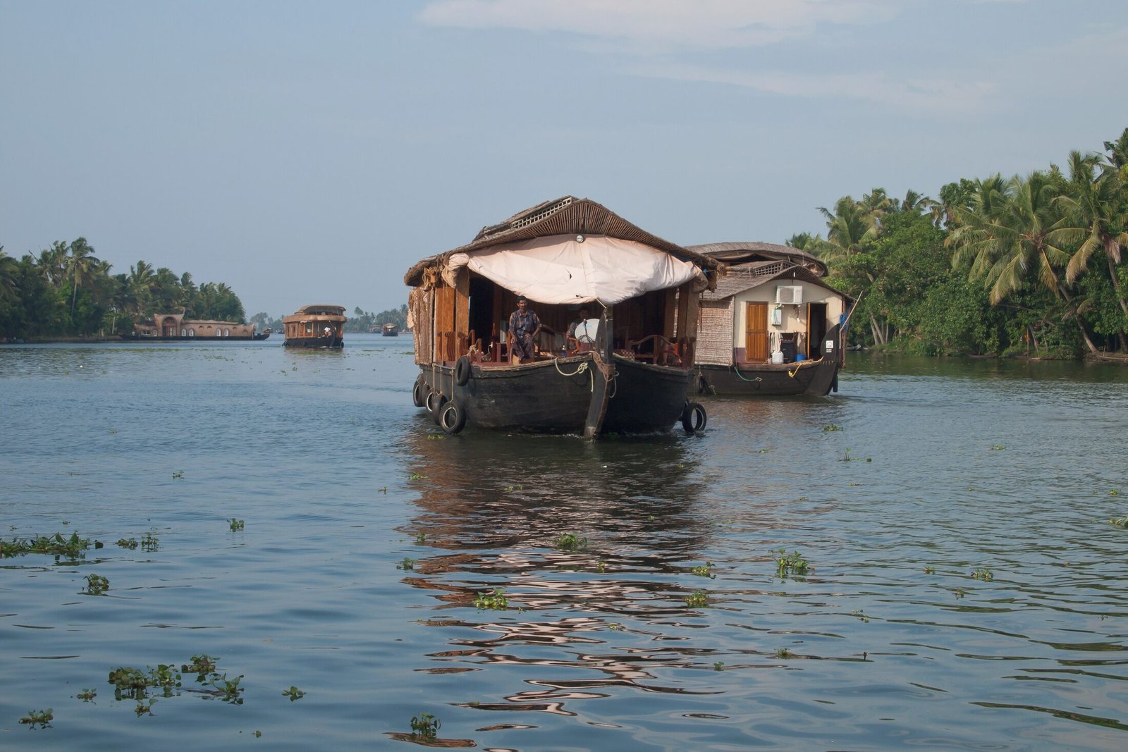 Traditional kettuvallam houseboats cruising the palm-fringed backwaters of Kerala